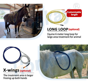 Appareil à boucle magnétique PEMF vétérinaire haute puissance pour la relaxation musculaire et la circulation sanguine des chevaux - Product Image 5