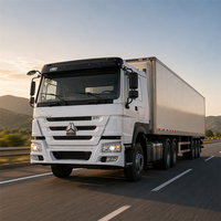 Promotion : Camion Tracteur Diesel Howo-7 6x4 d'Occasion, 380HP/430HP, Moteur WD615, Conduite à Gauche avec Caméra Arrière pour le Moyen-Orient