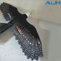 Avion télécommandé AiJH Eagle 2.4GHZ 2CH avec batteries, hélice, stabilisateur gyroscopique 6 axes, facile à piloter, jouets volants RC