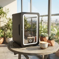 Mini-réfrigérateur portable 6L, glacière électrique, petit congélateur pour la maison, la voiture, le dortoir, l'usage étudiant, en plastique