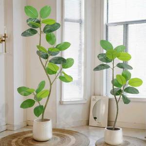 7FT Artificielle Vert Arbre En <span class=keywords><strong>Caoutchouc</strong></span> Extérieur Plancher Tropical Grande Plante De Plancher avec Toucher Réaliste En <span class=keywords><strong>Caoutchouc</strong></span> <span class=keywords><strong>Ficus</strong></span> pour La Décoration Intérieure - Product Image 1