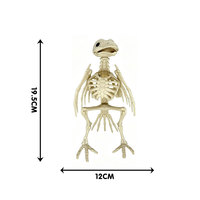 Ornement squelette de corbeau mobile, statue d'oiseau effrayant en os pour décoration d'Halloween, de jardin, de cimetière ou de patio