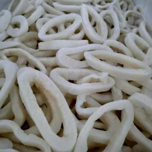 IKAN CUMI CUMI BEKU
