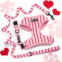 Ensemble Harnais pour Chien OEM d'Usine, Collier Rayé pour Animaux de Compagnie avec Laisse Durable, Harnais Anti-Traction en Maille Respirante Douce, Harnais Personnalisé pour Chien
