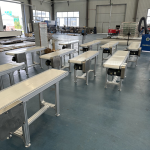 Dong Long fabriek directe verkoop bandtransporteurs; hoogwaardige transporteurs zijn beschikbaar voor maatwerk - Product Image 6