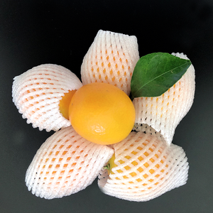 CE Standard Pe Fruit <strong>Foam</strong> Packing Extruder Machine <strong>EPE</strong> Foamed Plastic <strong>Net</strong> for Fruit Packaging - Product Image 3