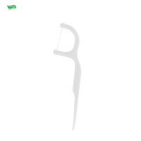 Fil dentaire écologique à la menthe avec manche biodégradable pour le nettoyage des dents, logo personnalisé, certifié ISO, vente en gros