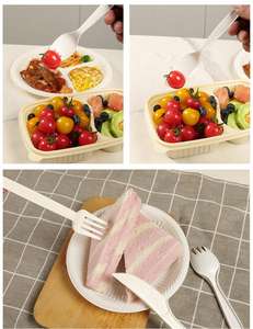Wholesale Eco-Friendly Biodegradable <b>Disposable</b> <b>Tableware</b> Takeout Cake <b>Tableware</b> Corn Starch Cutlery Sets - Product Image 6