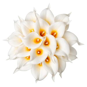 Hoa Calla Lily giả cao cấp, chất liệu như thật, màu trắng, dùng trang trí đám cưới, tiệc tùng, nhà cửa, làm trung tâm bàn tiệc - Product Image 4