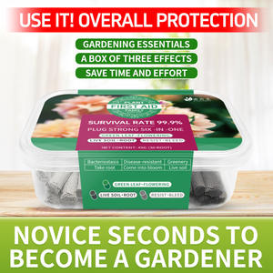 Compost vert Daojimei personnalisé pour plantes, trois couleurs, à libération lente, pour barres nutritives de premiers secours, fleurs en pot d'<span class=keywords><strong>intérieur</strong></span> et bonsaïs - Product Image 2