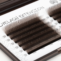SP Private Label 3D 4D 5D W Forme Cils Brésiliens YY Extensions de Cils Mesh Cilios Tissé à la Main YY Lash Brown Extension de Cils