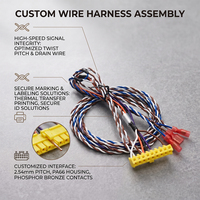 Faisceau de câbles torsadés personnalisés avec fil de drainage, connecteur pas de 2,54 mm, assemblage de câbles de signal haute vitesse, faisceau de câblage OEM
