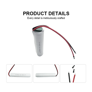 Paquete de Baterías Recargables de Níquel OEM de 3.6V y 2500mAh para Soluciones de Energía e Instrumentos Personalizados - Product Image 4