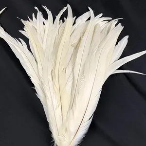 RTS Bulk Natural 12-14-16-18Inch Rooster Coque Tail Feathers For Craft Wedding Party Hats Costume Performances DIY Decoration