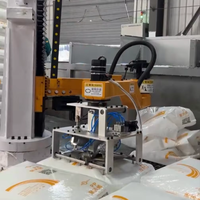 Déspalettiseur automatique de granulés plastiques à grande vitesse, bras robotisé. PLC, 25-200 kg/sac, 80-120 sacs/h, Option anti-explosion, Chimique Grade