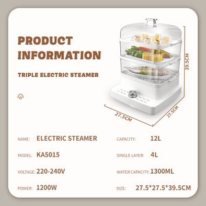 DSP ไอน้ำดูแลเส้นผมแบบเร่งด่วนขนาดมินิไฟฟ้าขนาด30วินาทีสำหรับใช้ในบ้านร้านเสริมสวยสปาทรีทเมนท์ - Product Image 6