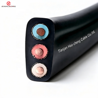 Kabel Submersible Datar JHSBP dengan Pelindung Anyaman Berisolasi EPR 450/750V untuk Motor Sumur Dalam