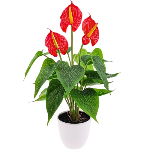 12 big red palms