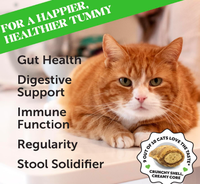 Traitements Probiotcis pour animaux de compagnie en OEM/ODM avec des enzymes digestives pour renforcer la fonction intestinale et l'immunité des mastics remplis de chat délicieux