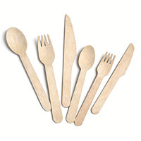 Vaisselle en bois écologique et biodégradable multifonctionnelle, ensemble de couverts jetables modernes pour les réunions de famille