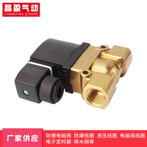 Vanne solénoïde Changying, type pilote, AC 220 V, air 0-1 Mpa, -40°C~200°C - Product Image 2