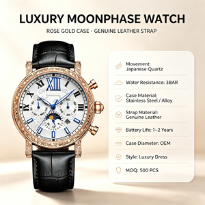 Custom OEM Men Mechanical Watch Alloy Case Waterproof 3ATM Japanese Movement Business Wristwatch Wholesale Factory - Product Image 3