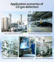 Détecteur fixe de monoxyde de carbone ATEX 4-20mA RS485 pour salle de chaudière, capteur de CO industriel avec alarme sonore et lumineuse 24VDC