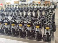 Pompes à eau solaires 1 pouce 48V 500W : Conception submersible en acier inoxydable avec moteur sans balais pour l'irrigation agricole