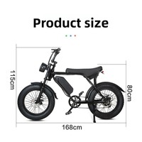 Vélo électrique tout-terrain rétro 20 pouces à batterie lithium 48V sans balais, pneus larges, directement de l'usine