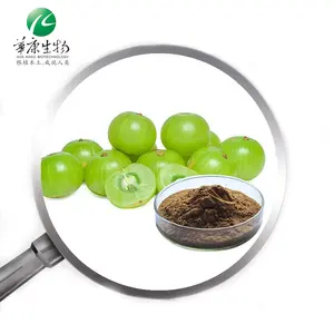 10:1 20:1 Amla Extract Phyllanthus acidus Extract Rich In Vitamin C