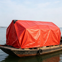 Usine personnalisée 20X30 30X50 40X60 20X20 bâche de bâche en plastique PE robuste bâche tissée imperméable approuvée CE