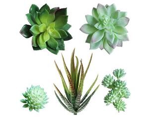 Mini suculentas artificiales <span class=keywords><strong>de</strong></span> plástico, varios tipos, ecológico, personalizado, para decoración interior del hogar - Product Image 2
