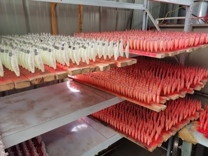 17.5cm/14.5cm nhựa và thép nhân tạo Jig móc cho câu cá mực tôm Sáng Bạch tuộc mực trong sông hồ - Product Image 5