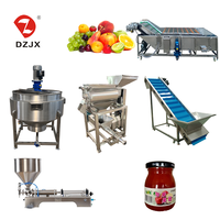 Équipement de fabrication de jus de fruits et légumes en petites séries économique DZJX, conception semi-automatique, facile à entretenir