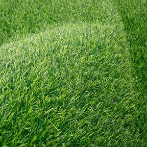 Nouveau design Gazon
Cour de jardin de gazon artificiel de tapis d'herbe verte avec le grand prix - Product Image 6
