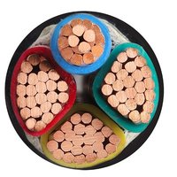 Cable de Minería Industrial de Cobre y PVC con Clasificación IP67, Cable Subterráneo para Carbón de 0.6/1kV 4-70mm 1000m CPE/Neopreno 1.5-240mm2 16-300mm2