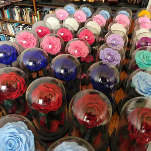 Venta al por mayor rosas preservadas en cúpula <span class=keywords><strong>de</strong></span> cristal con caja <span class=keywords><strong>de</strong></span> regalo Ideas <span class=keywords><strong>de</strong></span> regalo creativas Día <span class=keywords><strong>DE</strong></span> LA MADRE <span class=keywords><strong>San</strong></span> Valentín novia esposa regalo - Product Image 3