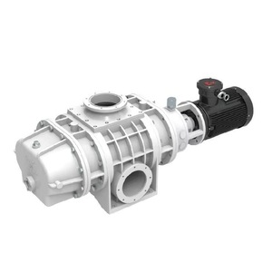 Pompe à vis à double tête à haut débit American Arcadia Hollow en acier inoxydable 0kW355kW pour usage industriel - Product Image 1
