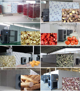 Machine de séchage de fruits et légumes de type plateau à pompe à chaleur, déshydrateur - Product Image 5