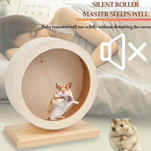 Roue de course pour rongeurs et hamsters, très vendue, pour petits animaux - Product Image 4