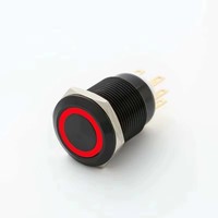 Interrupteur à bouton SPDT anti-vandalisme ELEWIND 19 mm avec lumière (PM193F-11E/R/12V/A Surface noire)