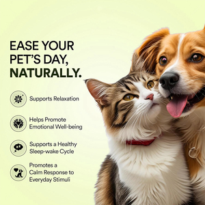 OEM/ODM เบตเตอร์ นิวทริชั่น ช่วยเสริมสร้างสุขภาพทางอารมณ์ แผ่นอมบรรเทาความเครียดสำหรับสัตว์เลี้ยงจากธรรมชาติ บรรจุภัณฑ์แบบกำหนดเองได้ - Product Image 6