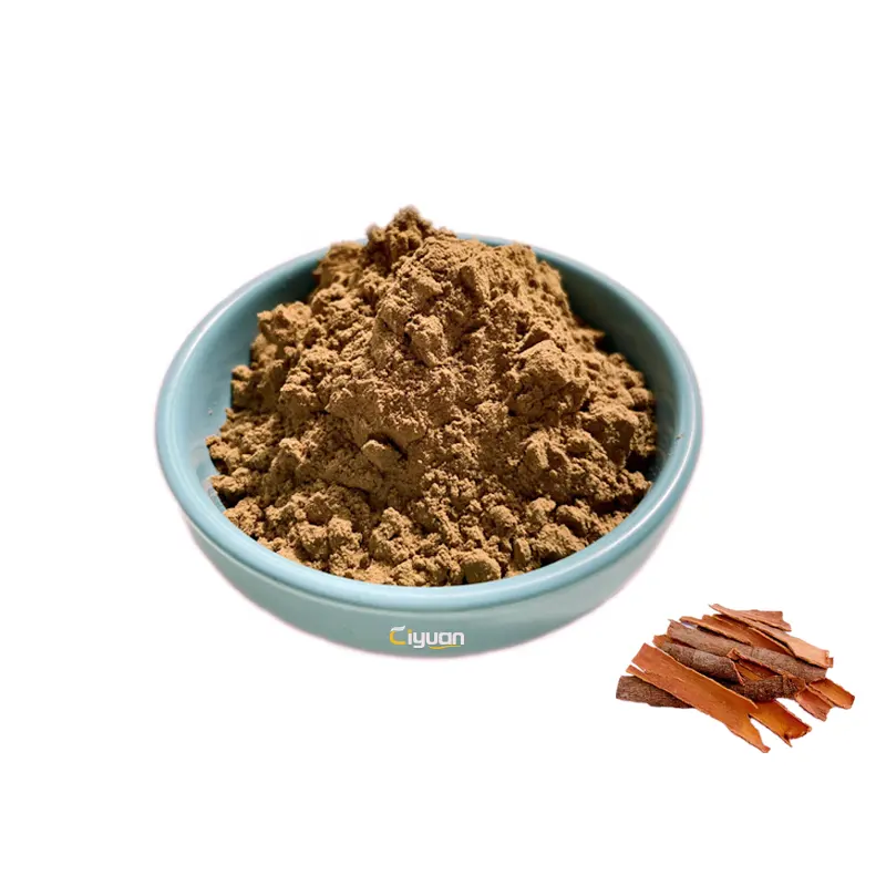 Ciyuan pó 20%, venda quente com extrato de latidos a granel de cinnamão (cinnamônio verum)