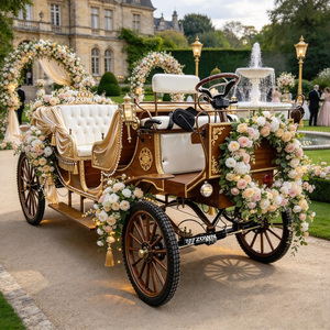 Vente directe d'usine ZOWN, charrette royale électrique bleue à quatre roues de luxe pour mariage, avec garantie de 2 ans, design élégant - Product Image 1