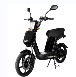電動バイクカスタマイズロゴ48v 12Ah鉛蓄電池電気自動車250W - Product Image 4