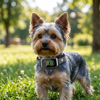 Mini-Größe Leichtgewicht Kein E-Schock Keine Schädigung Intelligentes Anti-Bell-Halsband Automatisches Anti-Bell-Halsband für Kleine Hunde