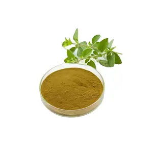 30:1 Organic Water Soluble Oregano Leaf Extract Herbal Extract Powder