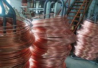 Pada Rak Electroplating dan Batang Pembumian Electroplating Berkelanjutan Batang Pembumian