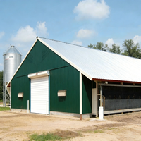 Poulailler économique en structure métallique, hangar préfabriqué pour bétail, élevage avicole à grande échelle