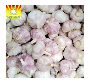 China Proveedor profesional de ajo blanco fresco Ail Ajo Alho Precio al por mayor competitivo 5/6/7/8/9/10kg en bolsa de malla - Product Image 2